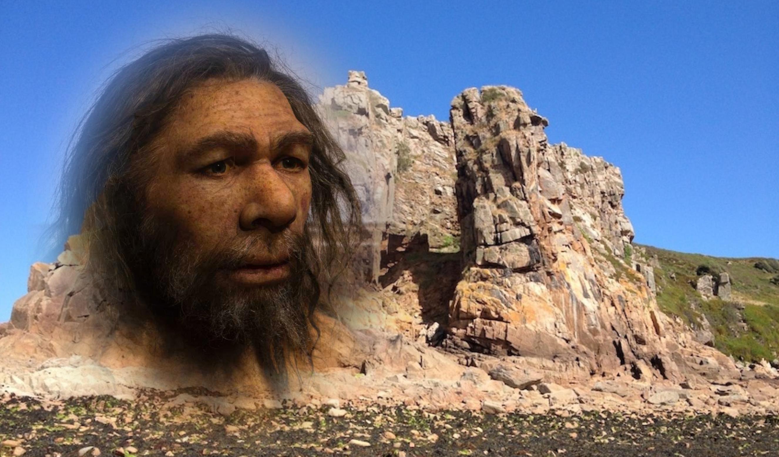 Wisdom Teeth Jersey Gnashers Hint At Neanderthal Interbreeding