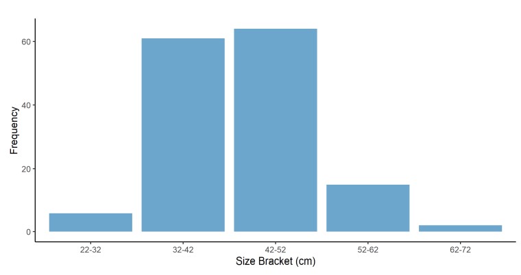 Bass_graph_rod_and_line.jpg