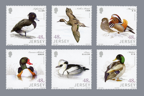 waterfowl_stamps.jpeg