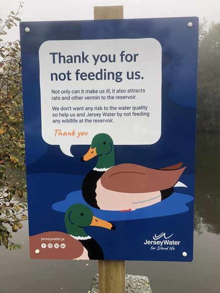 Duck_signage_1.jpg