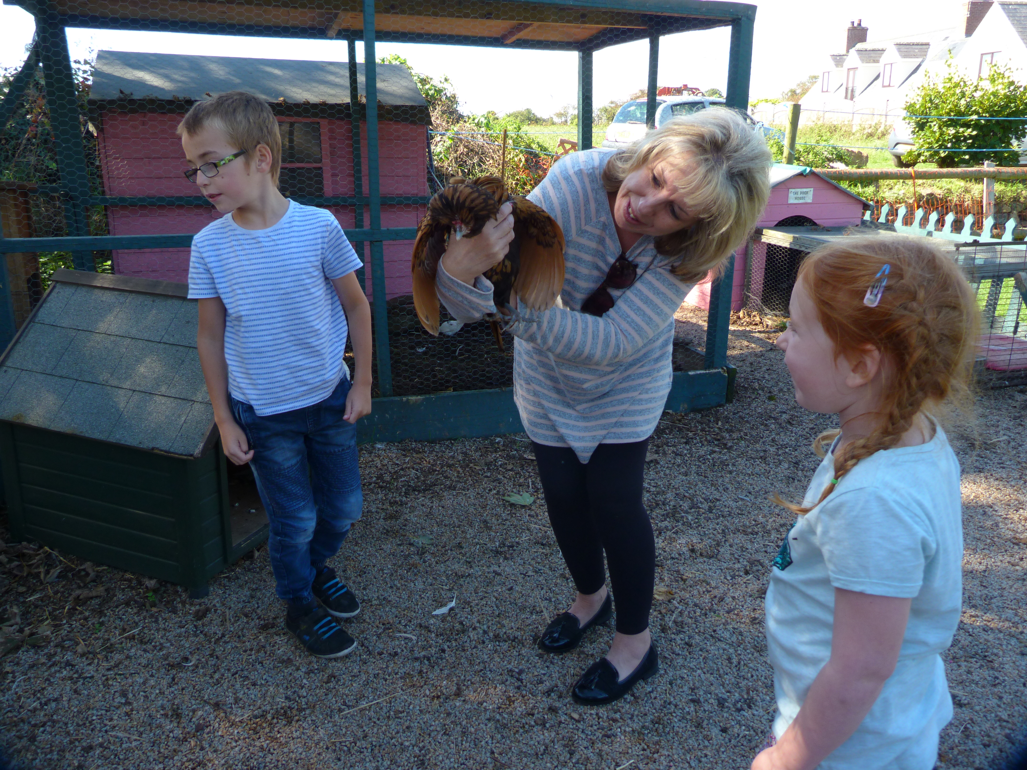 Feathered Friends Forever Home