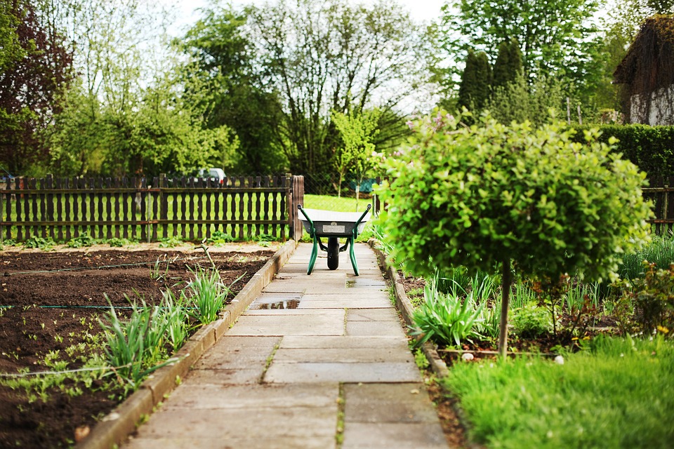 wheelbarrows-allotment-growing-garden.jpg