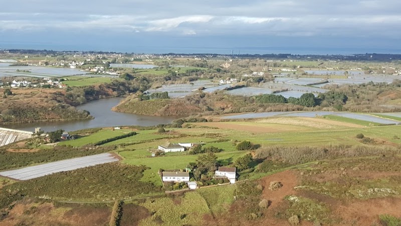 jersey fields