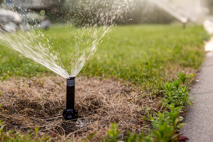 Lawn sprinkler.jpg