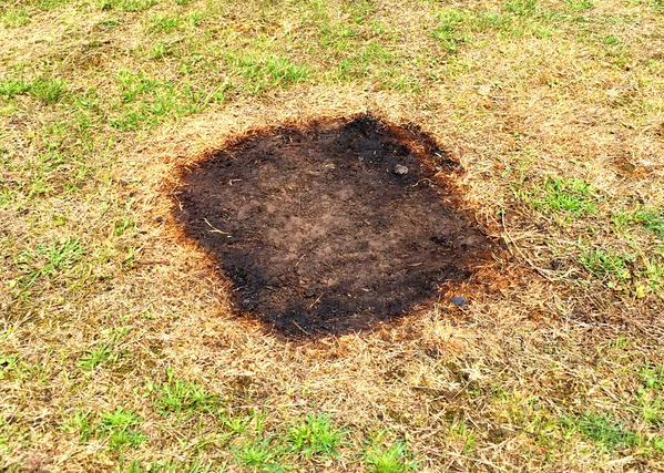 burnt_ground.jpg