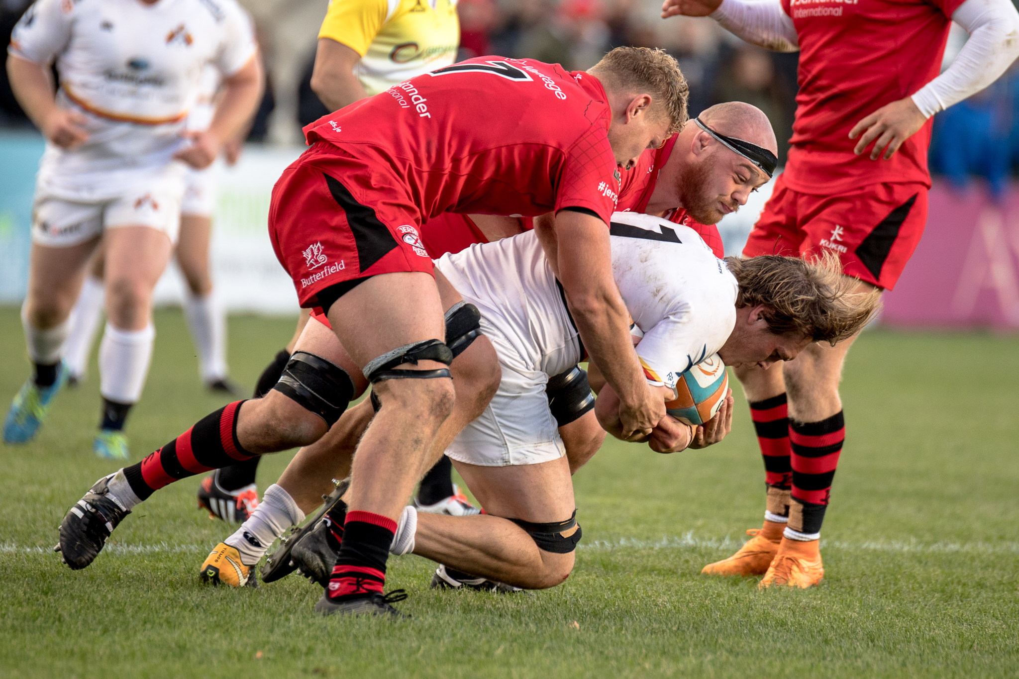 jersey reds rugby