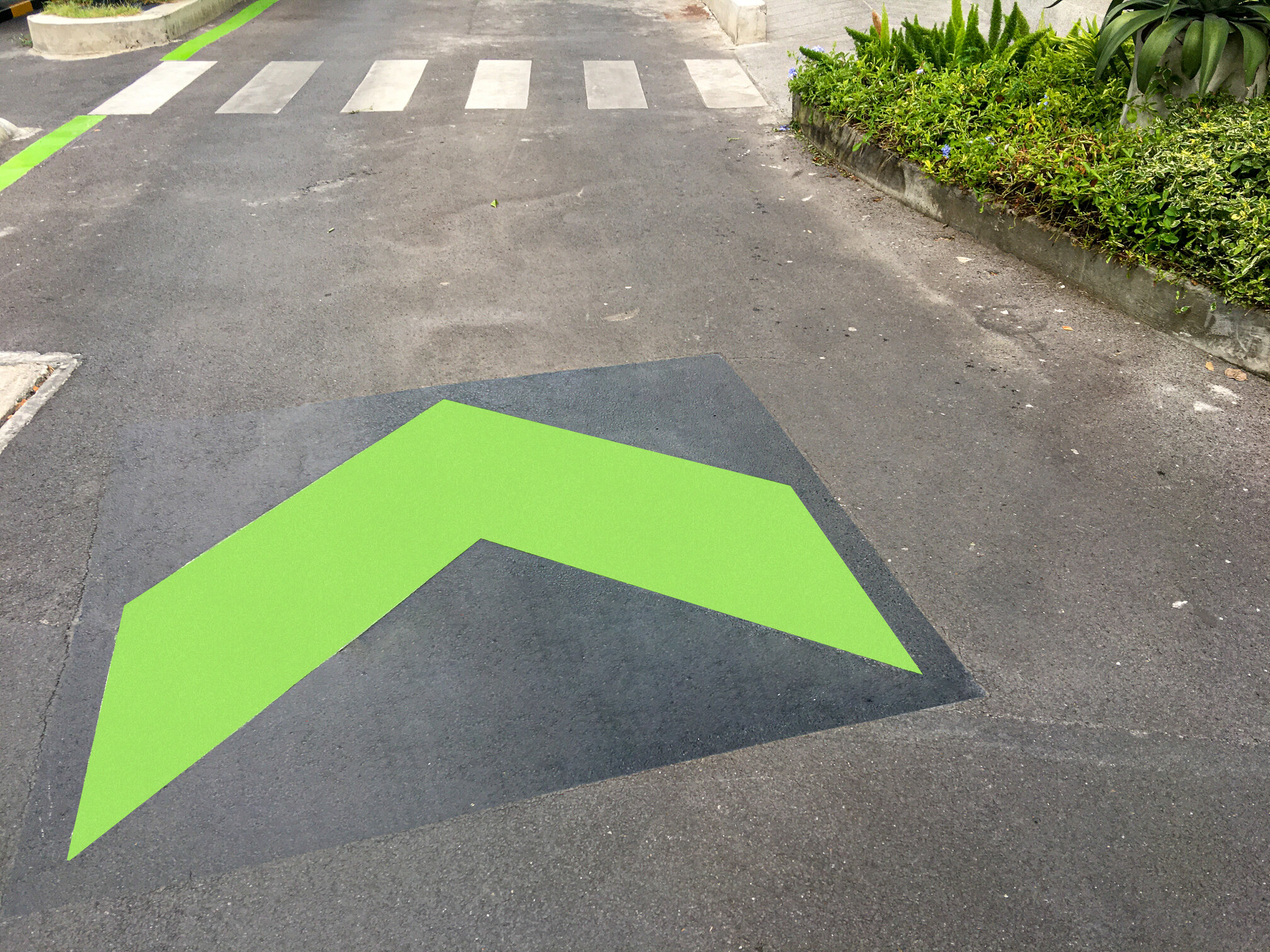 Green arrow lane marking.jpeg