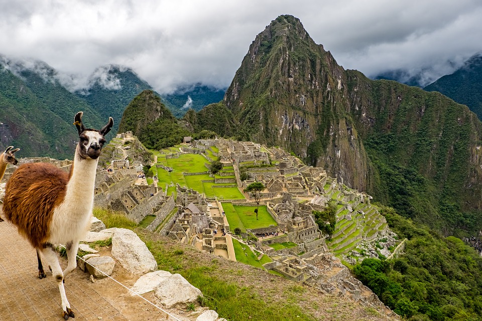 llamaperumachupicchu.jpg