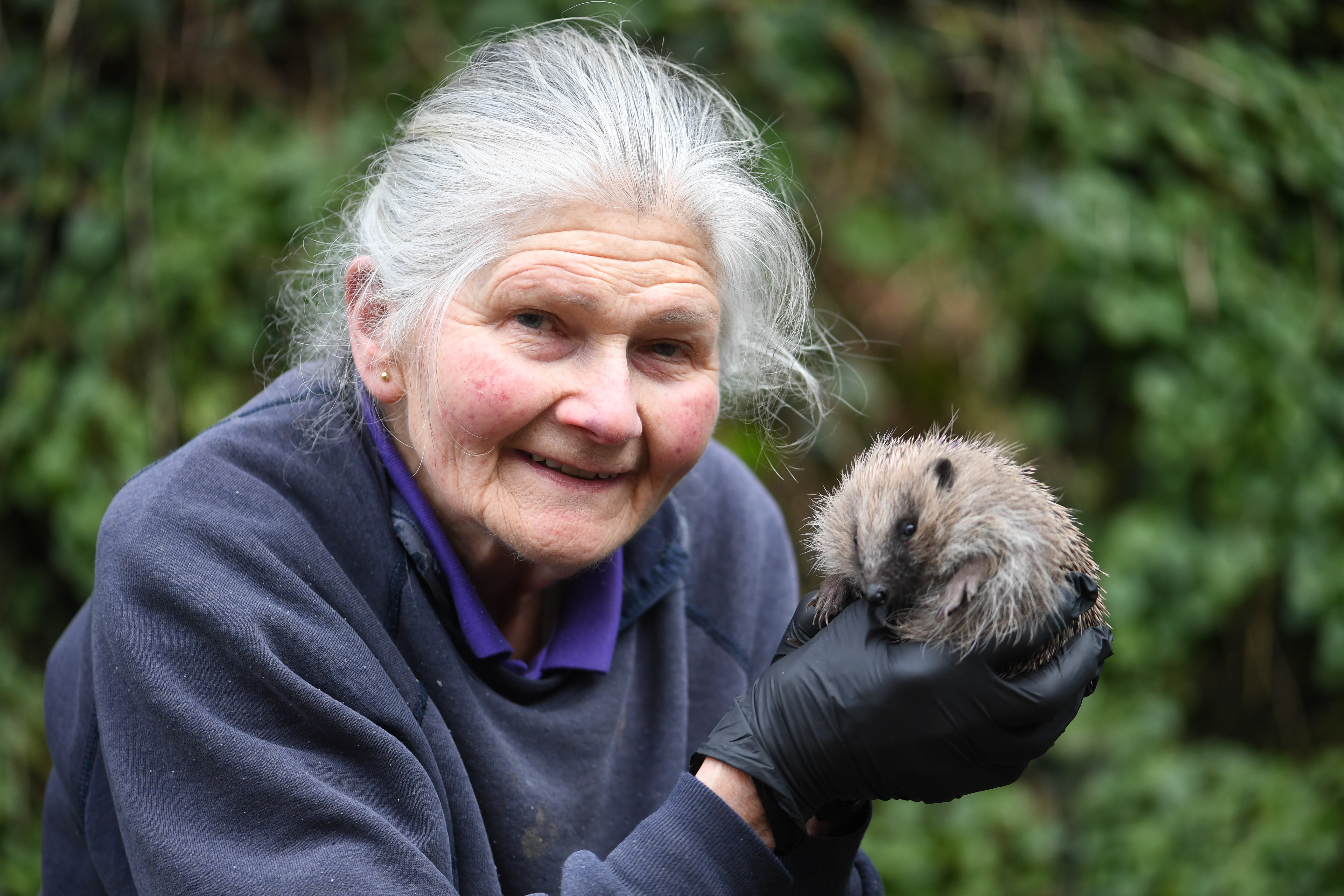 dru_burdon_with_hedgehog_by_dave_ferguson_feb_2024.jpg