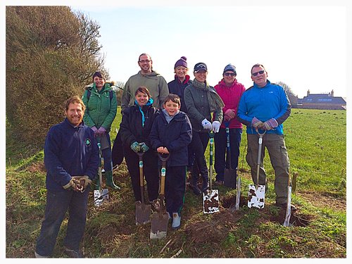 RBC plant more than 200 trees for Jersey Hedgerow Campaign | Bailiwick ...