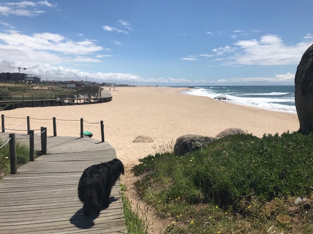 Indie Luce beach Portugal