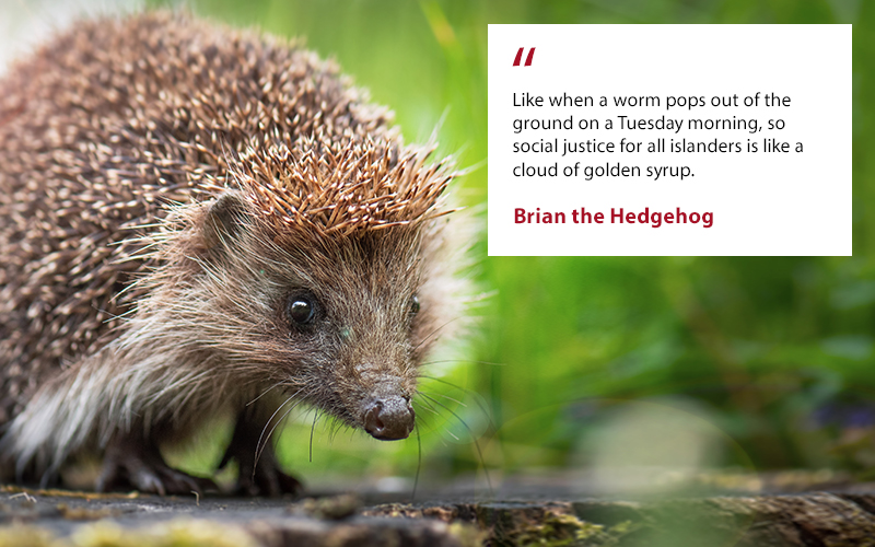 Brian the Hedgehog News Eye.jpeg