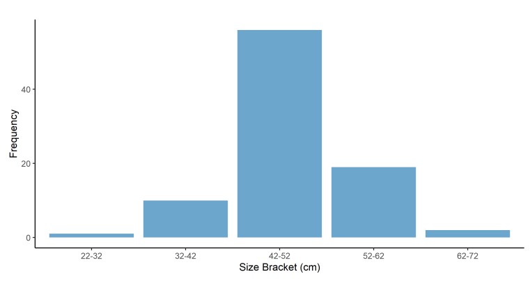 Bass_graph.jpg