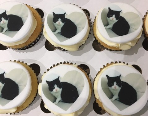 Cupcakes cat rescued by fire service