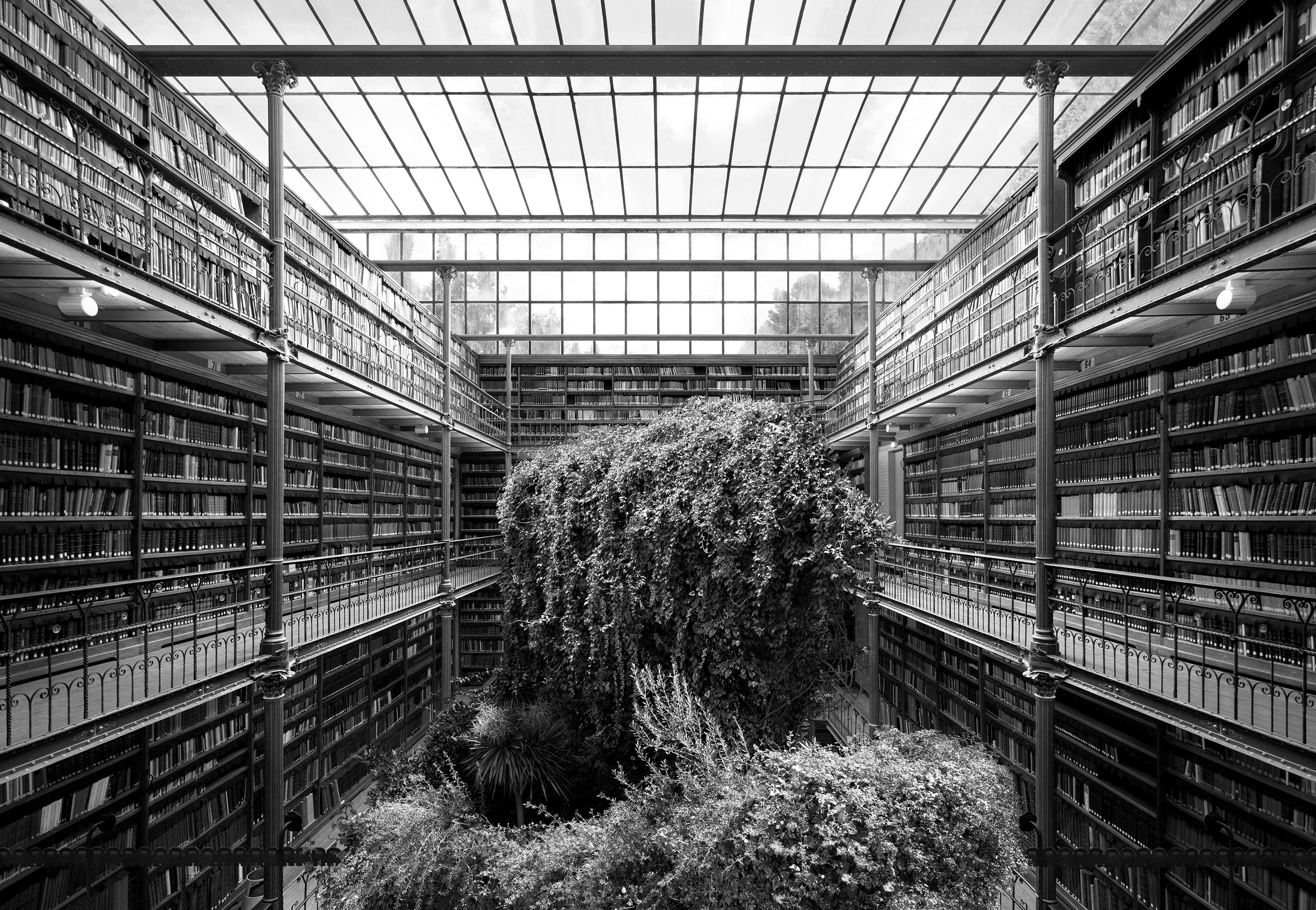 Tanja Deman Museum Library series Temple of Culture 2014