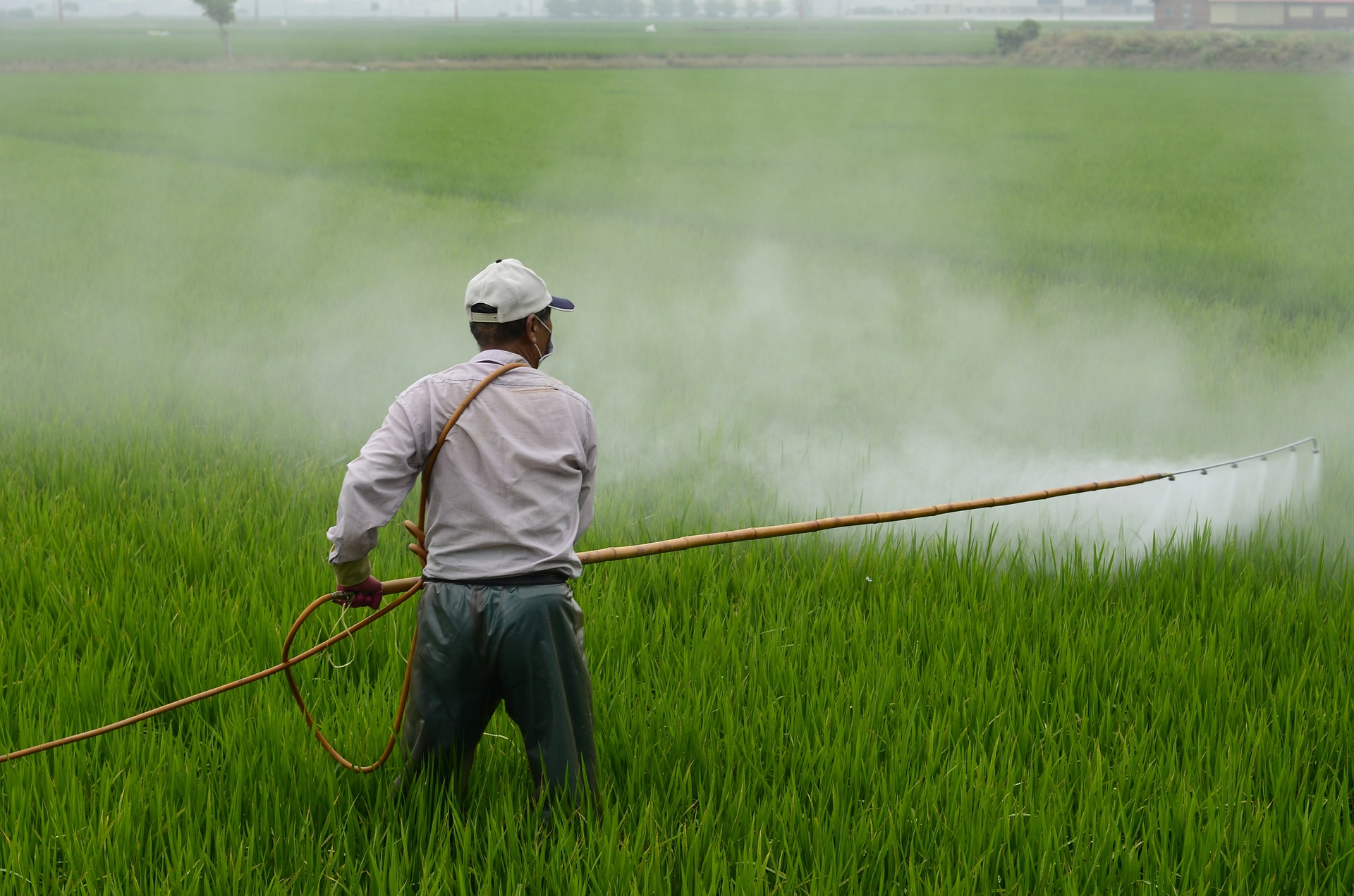 Herbicide pesticide