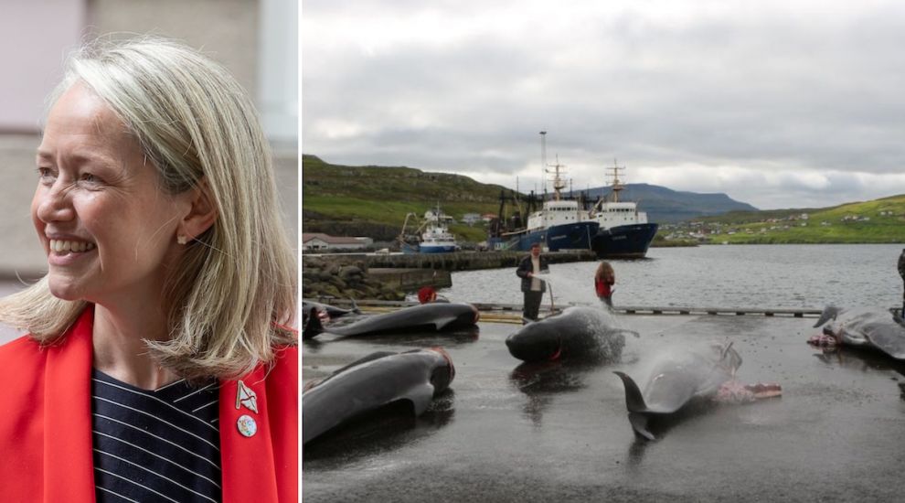 CM to write to Faroe Islands about sea mammal 