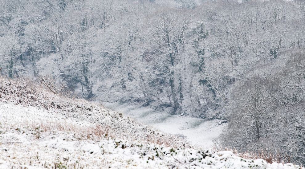 SNOW UPDATE: Transport officials undertake biggest gritting operation in 10 years