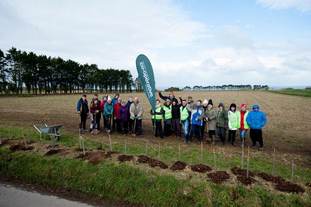 The Channel Islands Co-operative Society helps plant and restore habitats for endangered birds and wildlife