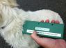 JSPCA issues warning after microchipping scam in Guernsey