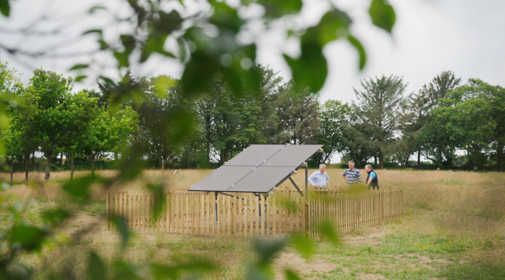 New solar panels to help power local wine estate