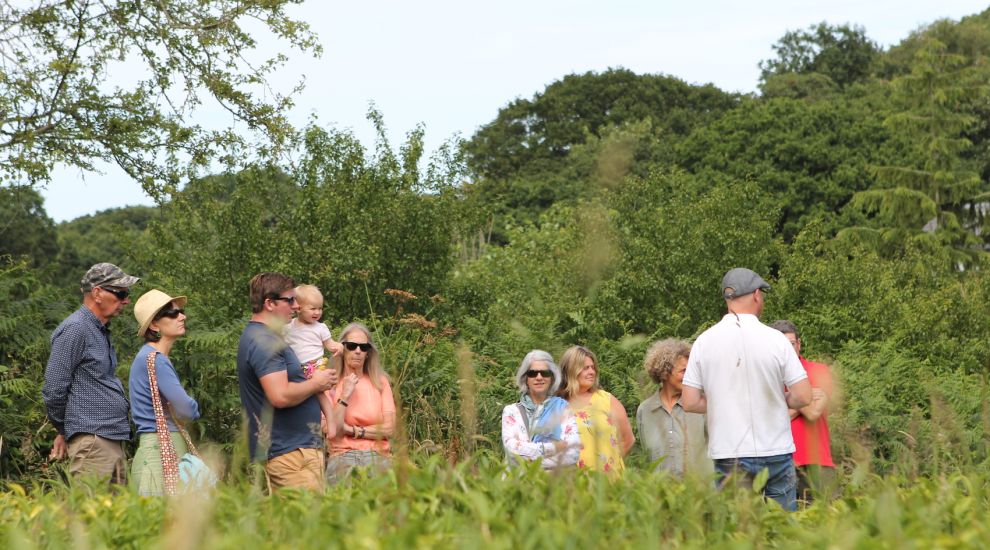 GALLERY: Islanders invited to farm open days