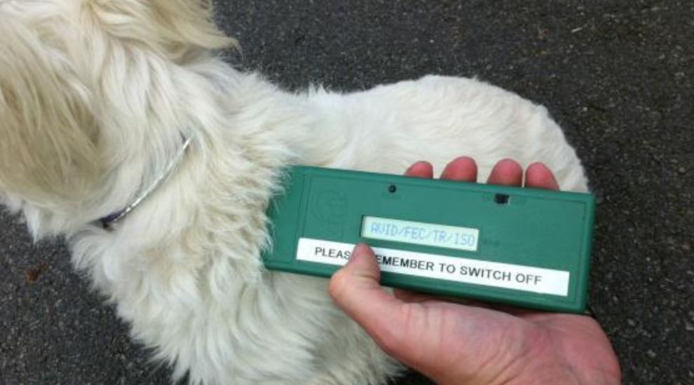 JSPCA issues warning after microchipping scam in Guernsey