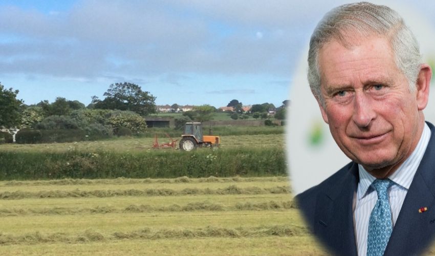 Campaigners call for royal help to save fields from development