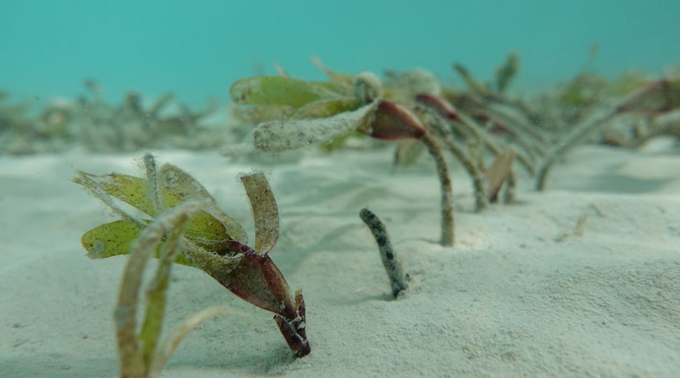 £40,000 boost for local climate change research