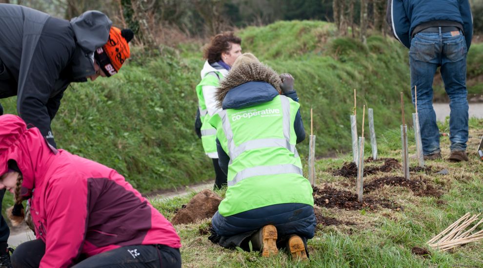 The Channel Islands Co-operative Society donates over £17,000 to local environmental projects