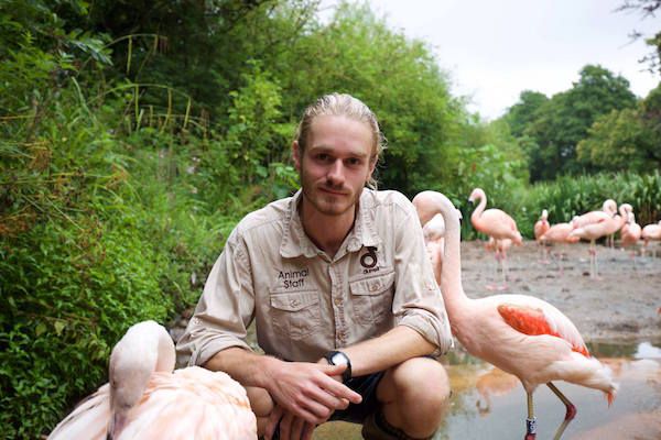 Bird keeper flies off to help save rare Sumatran bird