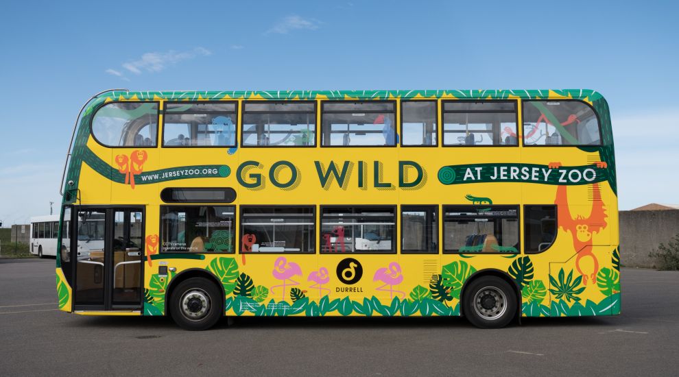 Jersey Zoo Reveals New Bus Advertising