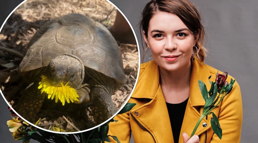 How a tortoise bought for 2p in a pub became Jersey comedy inspiration