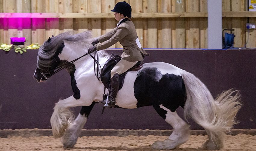 The Jersey Horse of the Year Show is back for 2023!