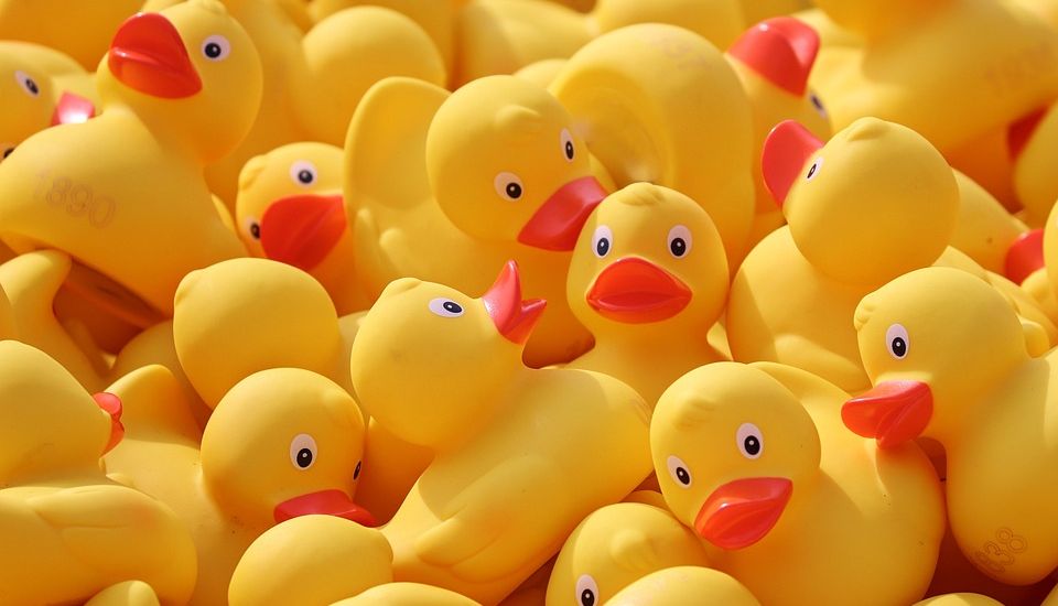 All the fun of the Fayre! Dog show, duck race and much more on offer