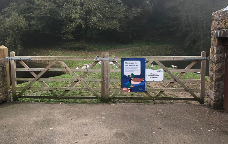 Jersey Water appeal for return of stolen signs about feeding ducks