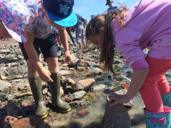 Schoolchildren learn life's a beach when it's clean!