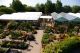 Ransoms Garden Centre 