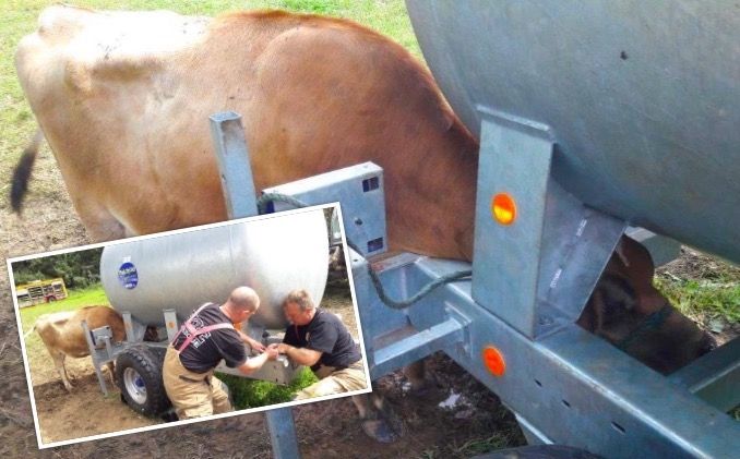 Fire Service help farm friend stuck in the moo-dle