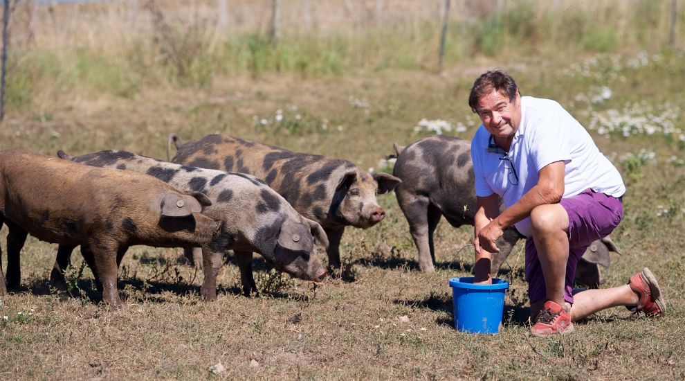 A 'pig' deal! Popular local farm shop gets permission to open longer