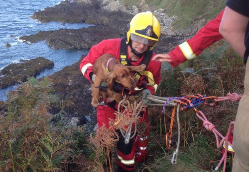 Clifftop rescue for Milly