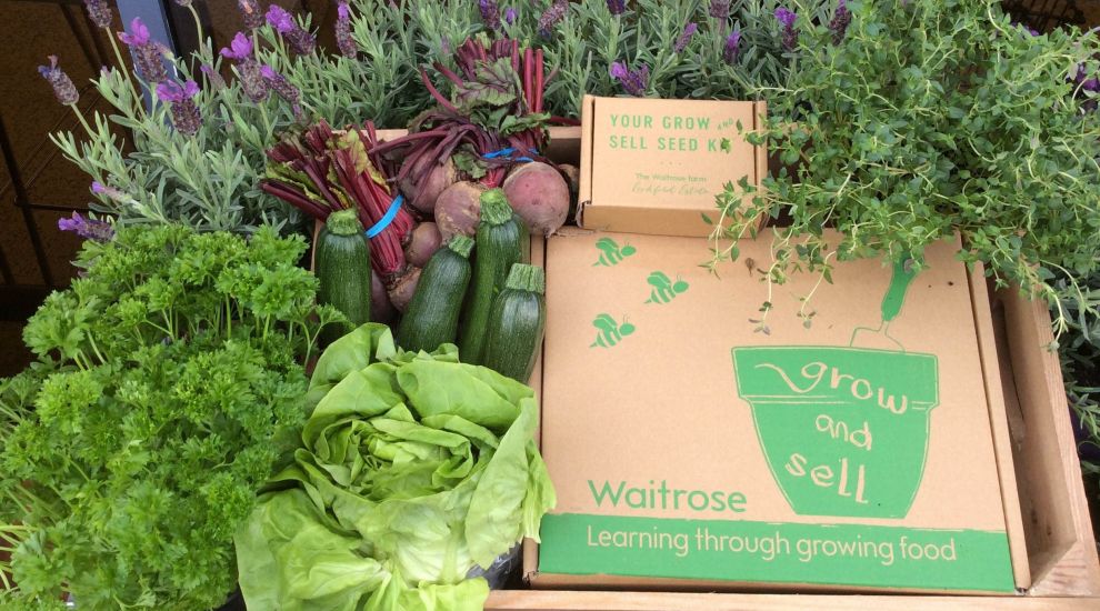 Jersey beans go green with Waitrose kits