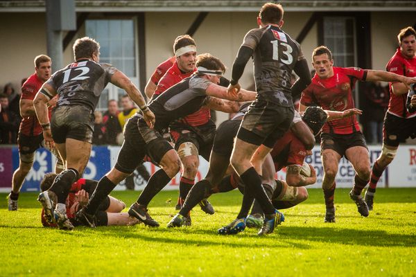 New coach for Jersey Rugby