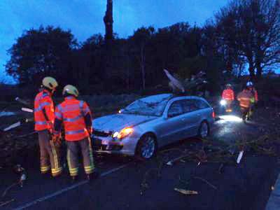 Car hit by falling tree one of five emergency calls during Storm Katie