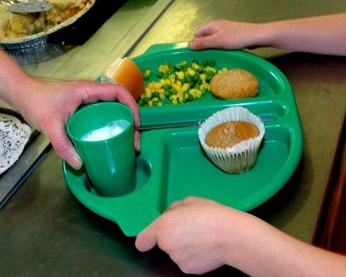 Crackdown on fatty school meals