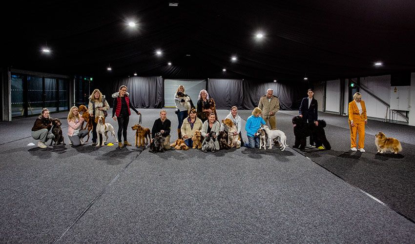 Kennel Club of Jersey gets ready for Crufts