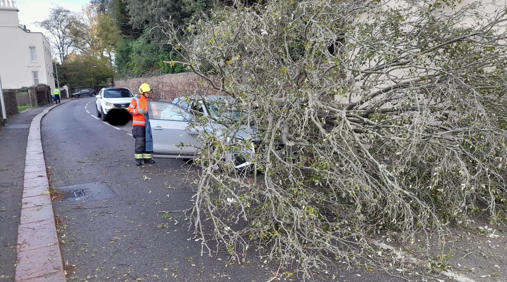 St. Saviours' Hill closed after car struck by fallen tree