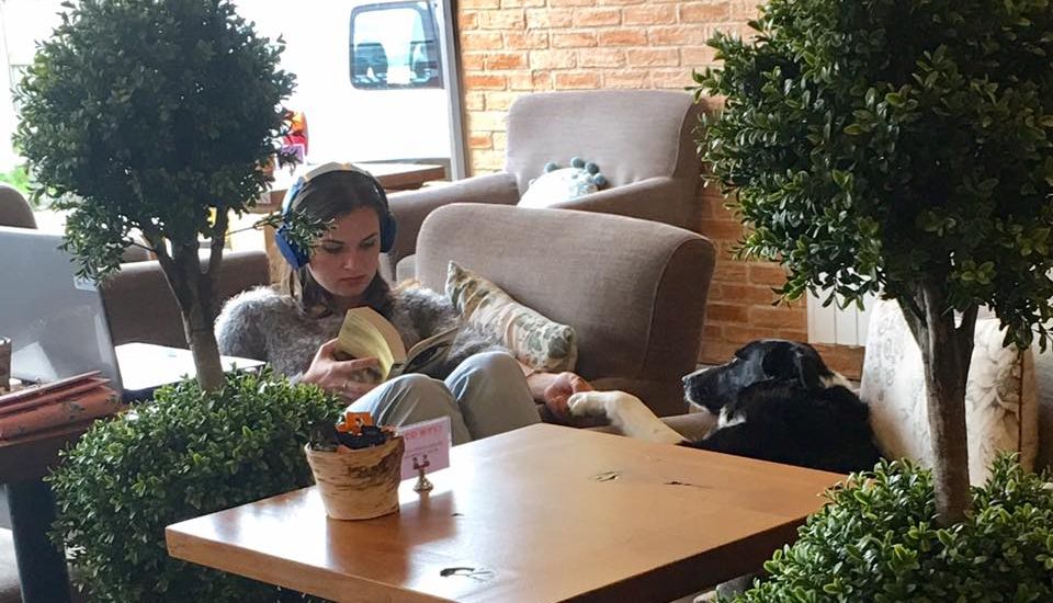 Fur coffee lovers: dog friendly café to come to town