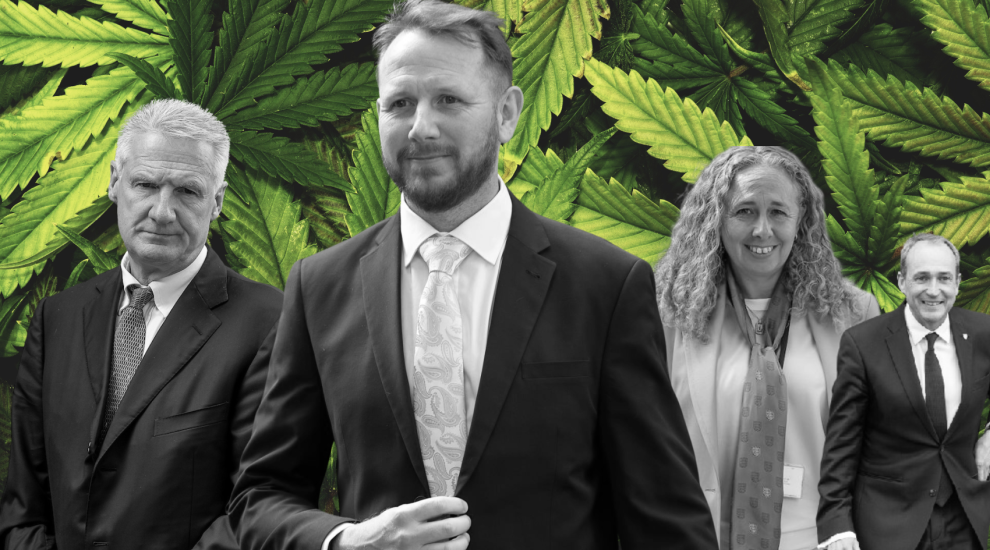 EXPLAINED: What's on the table for the cannabis law debate?