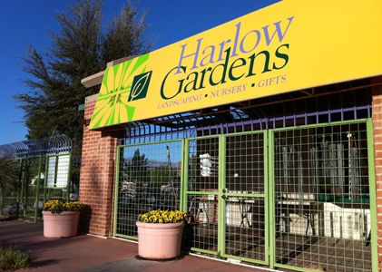 Blue Diamond Announces the Acquisition of Harlow Garden Nurseries